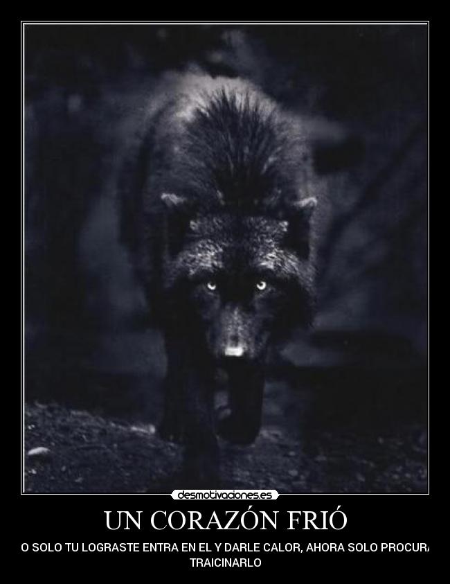 carteles corazon corazon frio desmotivaciones