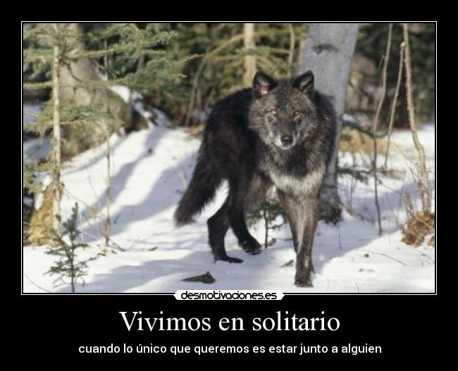 Vivimos en solitario - cuando lo único que queremos es estar junto a alguien