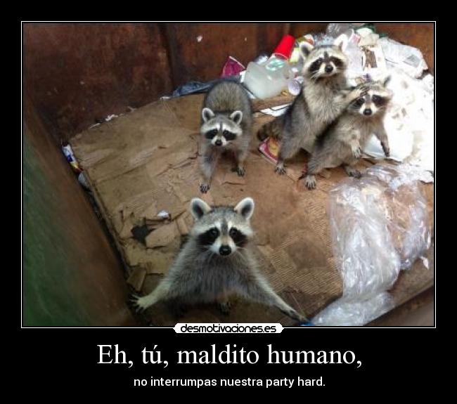 Eh, tú, maldito humano, - no interrumpas nuestra party hard.