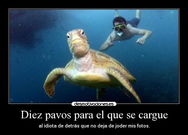 Diez pavos para el que se cargue - al idiota de detrás que no deja de joder mis fotos.