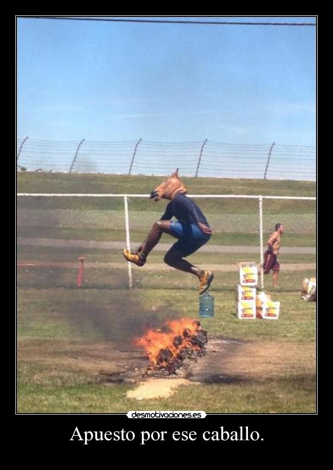 Apuesto por ese caballo. - 