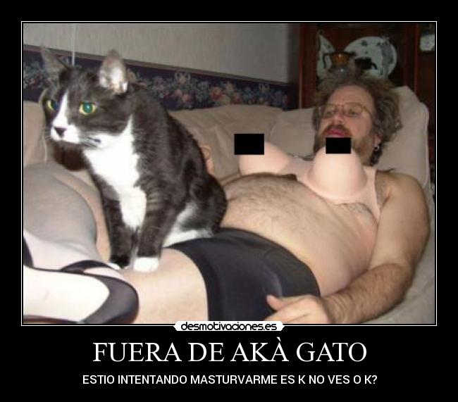 FUERA DE AKÀ GATO -
