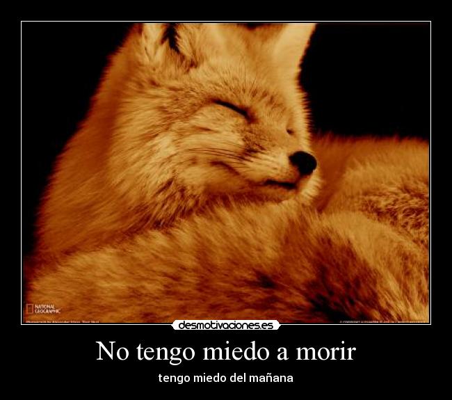 No tengo miedo a morir - 