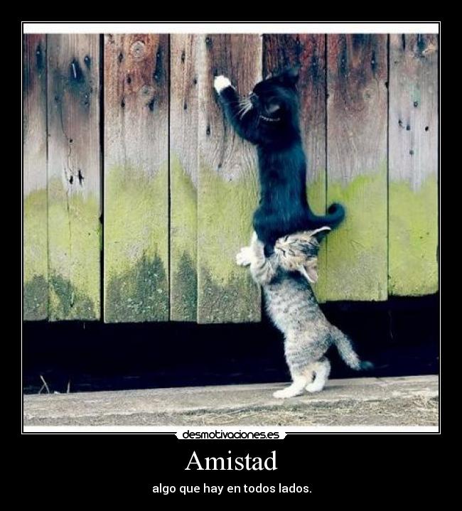 Amistad -