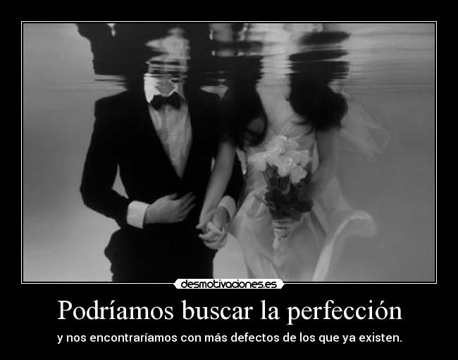 Podríamos buscar la perfección - y nos encontraríamos con más defectos de los que ya existen.