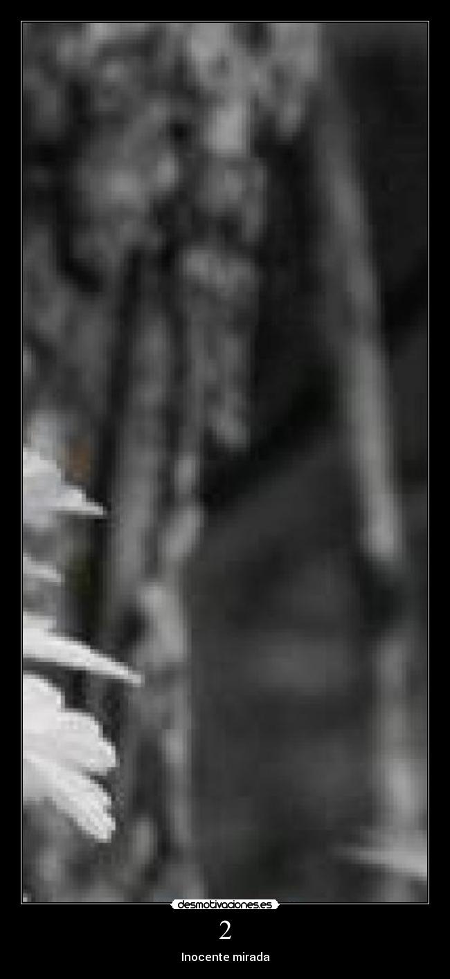 2 - Inocente mirada