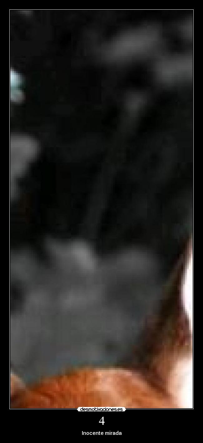 4 - Inocente mirada