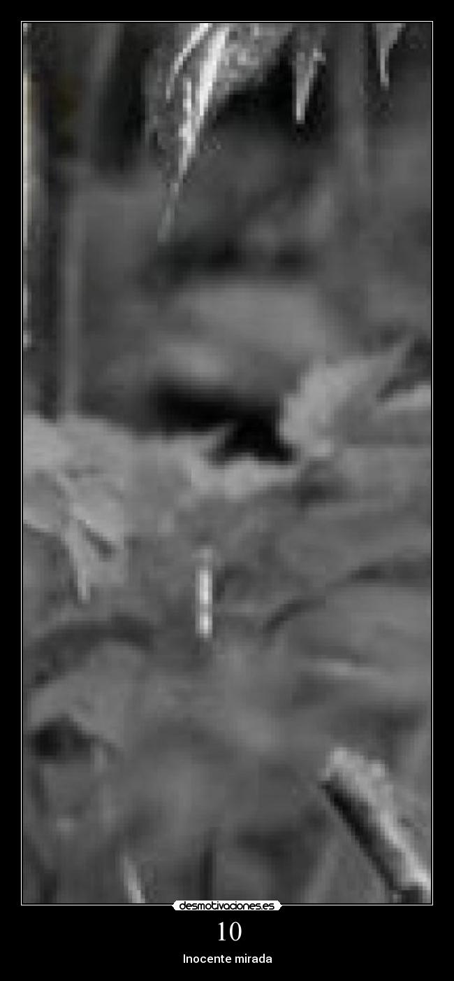 10 - Inocente mirada