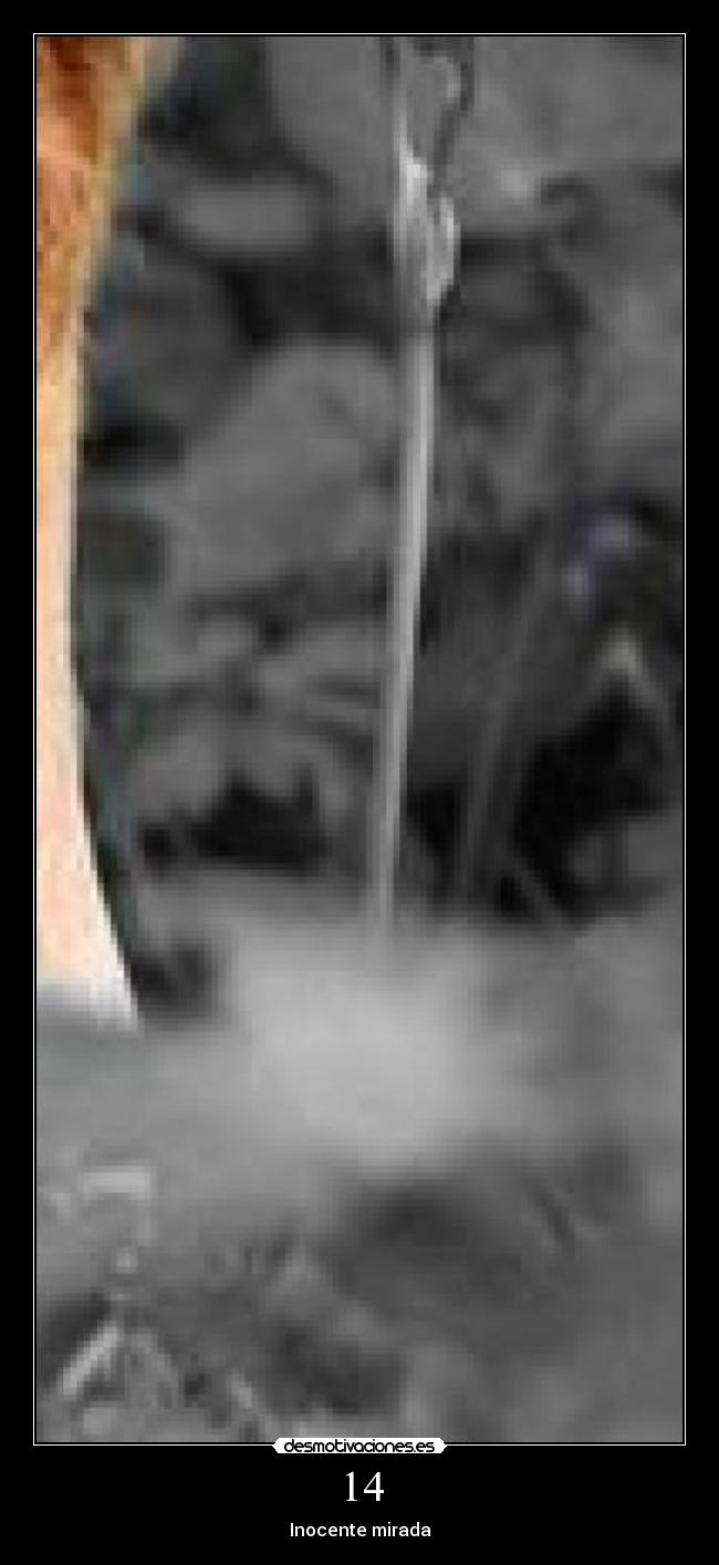 14 - Inocente mirada