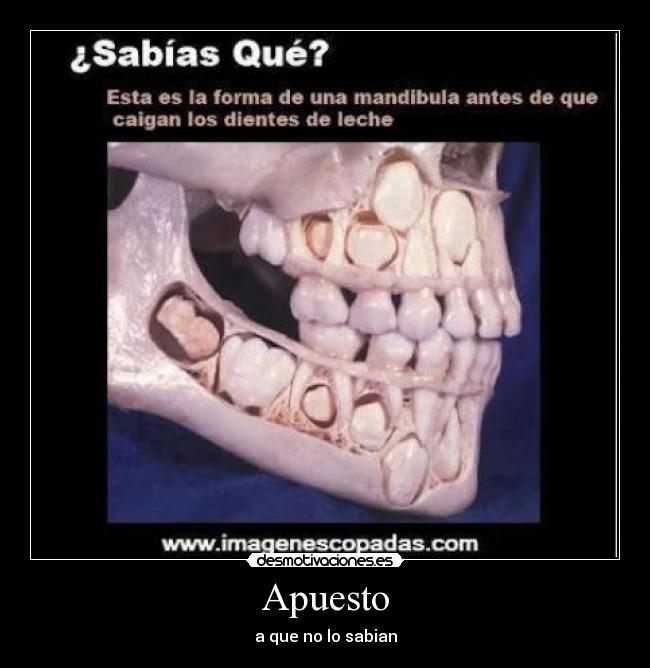 Apuesto - a que no lo sabian