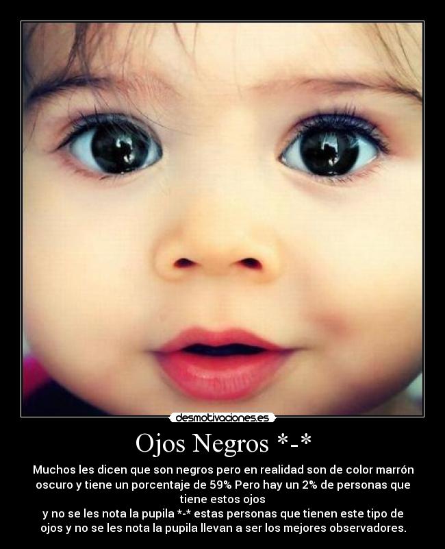 Ojos Negros *-* - Muchos les dicen que son negros pero en realidad son de color marrón
oscuro y tiene un porcentaje de 59% Pero hay un 2% de personas que
tiene estos ojos
y no se les nota la pupila *-* estas personas que tienen este tipo de
ojos y no se les nota la pupila llevan a ser los mejores observadores.