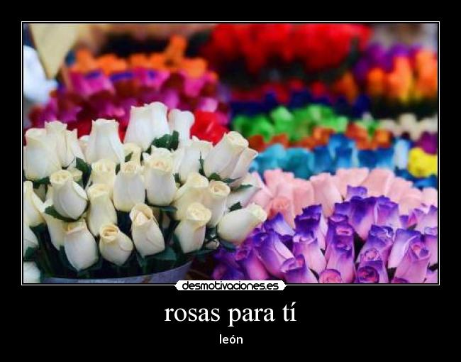 rosas para tí - león