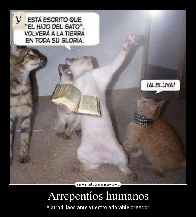 Arrepentíos humanos -