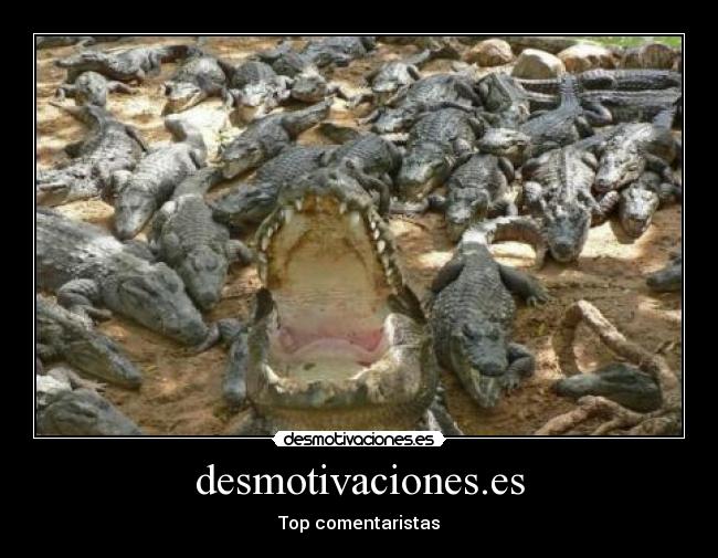 desmotivaciones.es - Top comentaristas