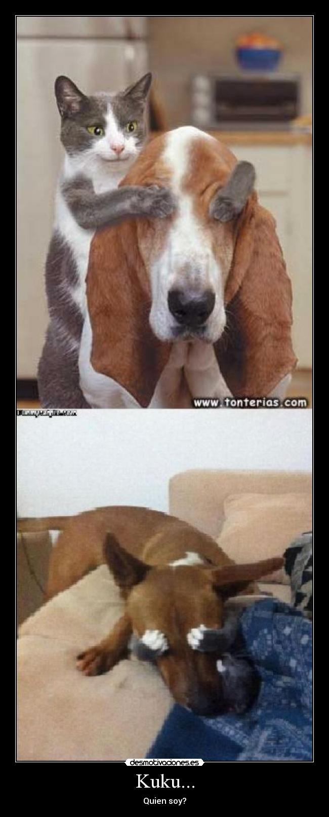 Kuku... - Quien soy?