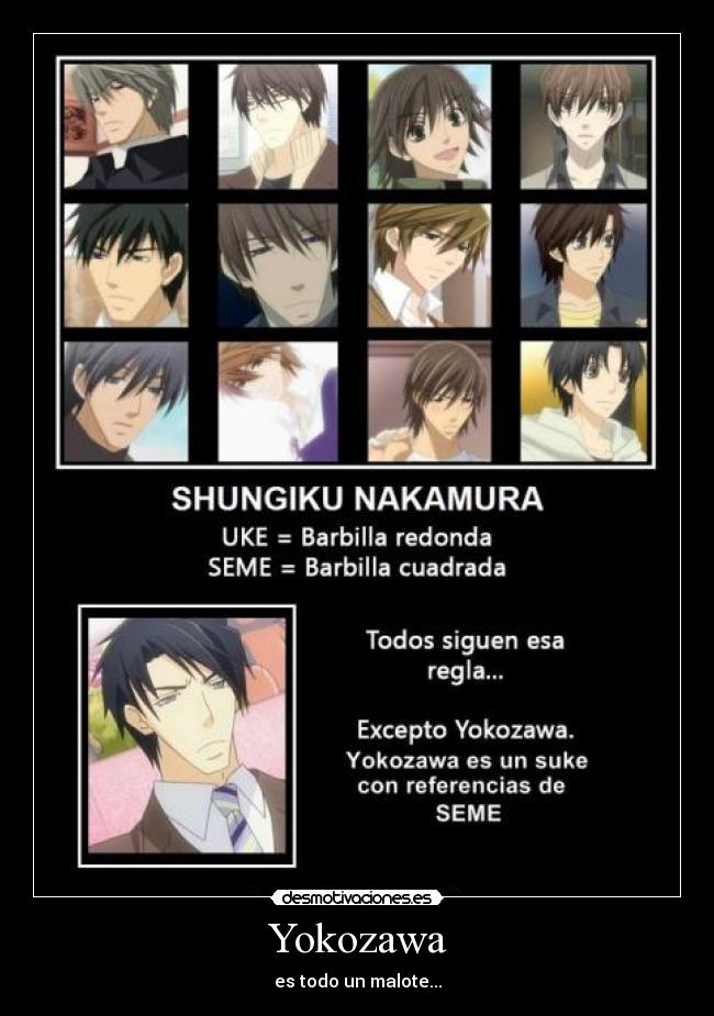 Yokozawa - es todo un malote...