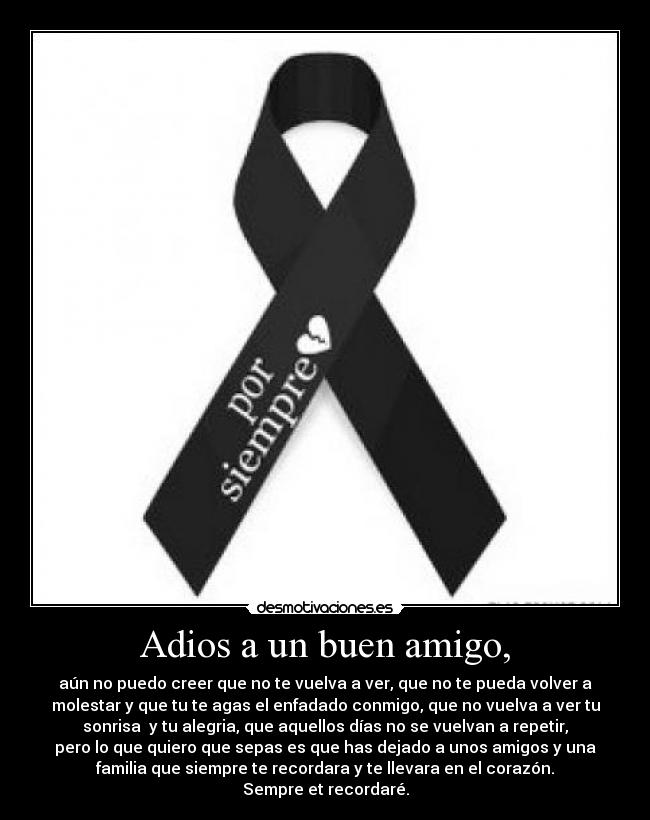 Adios a un buen amigo, - aún no puedo creer que no te vuelva a ver, que no te pueda volver a
molestar y que tu te agas el enfadado conmigo, que no vuelva a ver tu
sonrisa y tu alegria, que aquellos días no se vuelvan a repetir,
pero lo que quiero que sepas es que has dejado a unos amigos y una
familia que siempre te recordara y te llevara en el corazón.
Sempre et recordaré.
