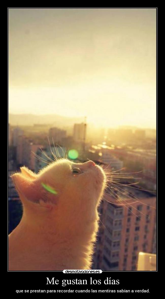 Me gustan los días - que se prestan para recordar cuando las mentiras sabían a verdad.