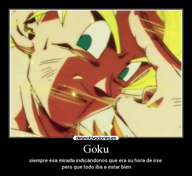 Goku - siempre esa mirada indicándonos que era su hora de irse
pero que todo iba a estar bien