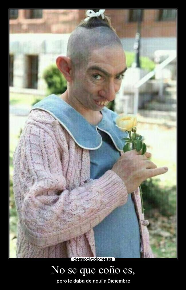 No se que coño es, -