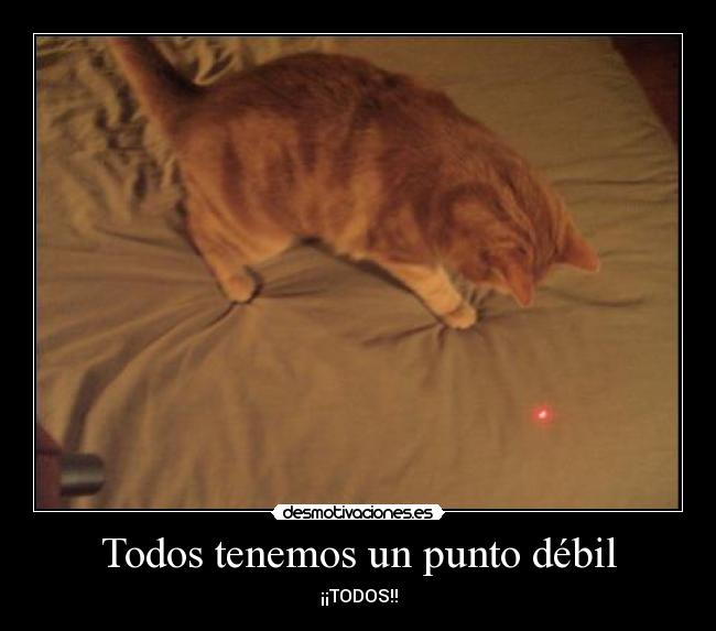 carteles todos tenemos punto debil todos desmotivaciones