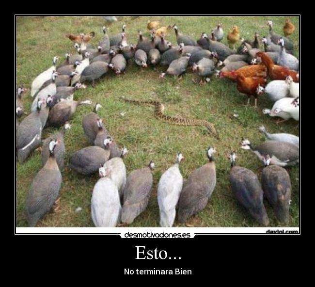 Esto... - No terminara Bien