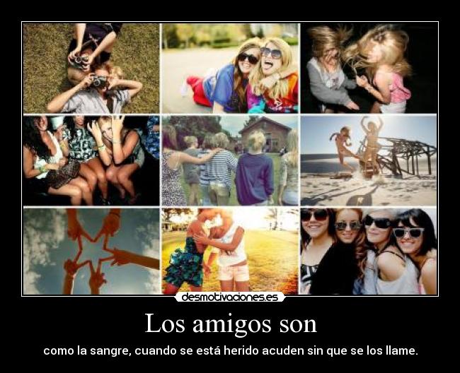Los amigos son -