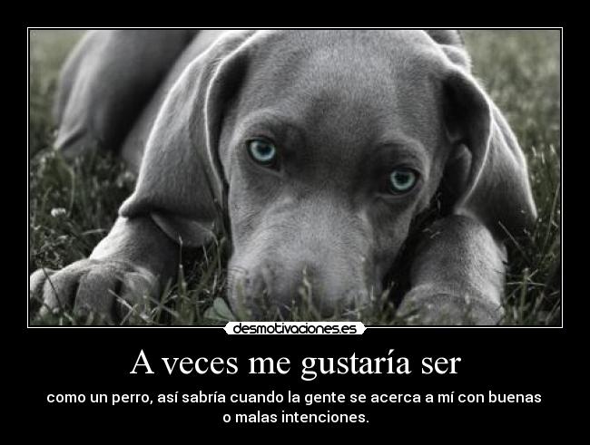 A veces me gustaría ser -