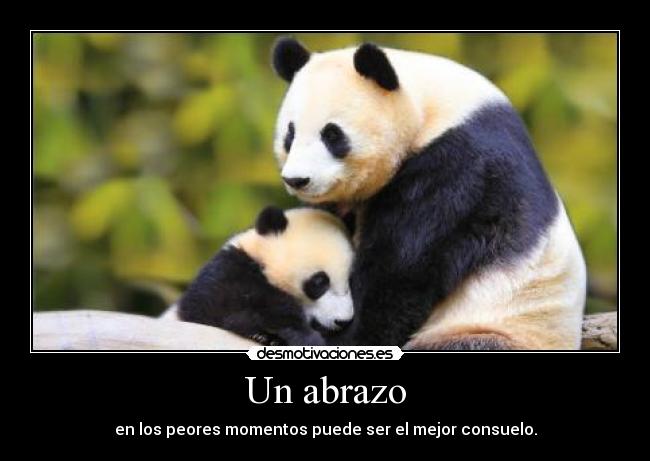 carteles desmoc3 abrazo pandas desmotivaciones
