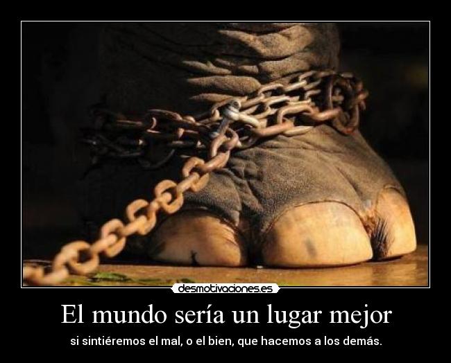 El mundo sería un lugar mejor - si sintiéremos el mal, o el bien, que hacemos a los demás.