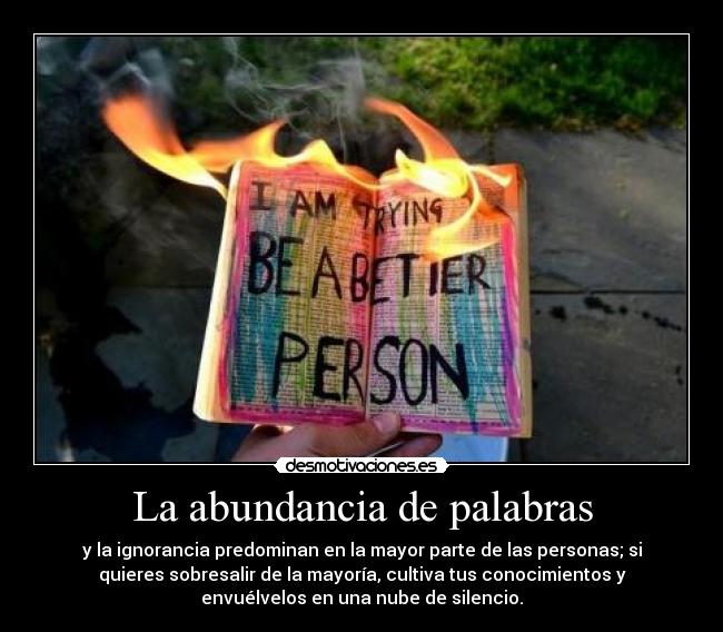 carteles darkbutterfly desmoc3 muchas palabras poca coherencia kirch clandominadores desmotivaciones