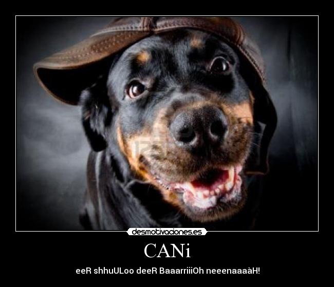 CANi - eeR shhuULoo deeR BaaarriiiOh neeenaaaàH!