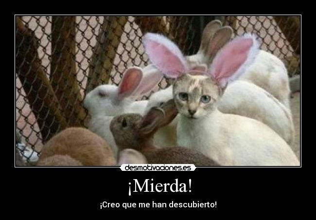 ¡Mierda! - ¡Creo que me han descubierto!