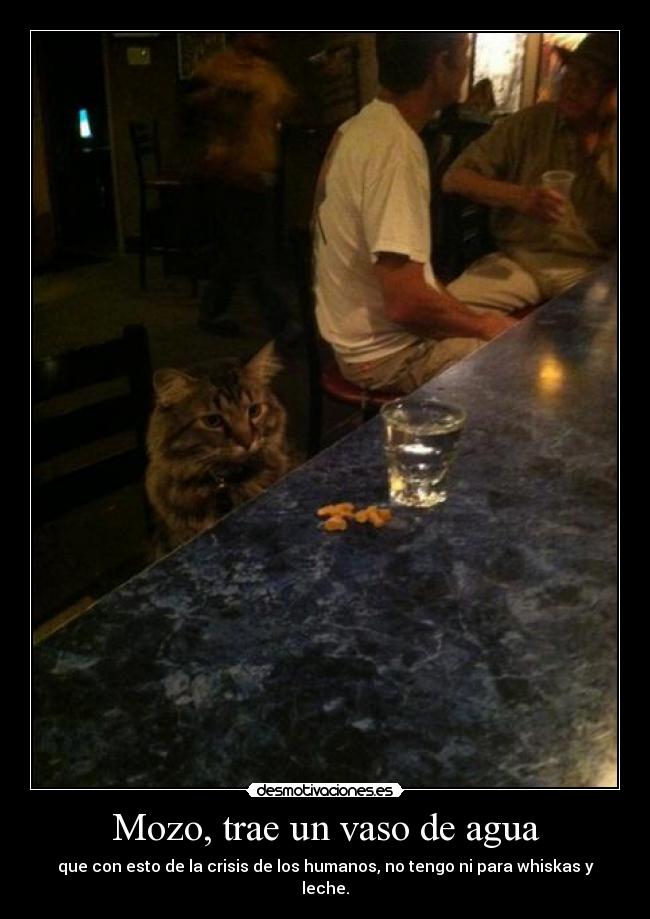 Mozo, trae un vaso de agua - 
