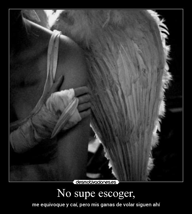 carteles asd desmotivaciones