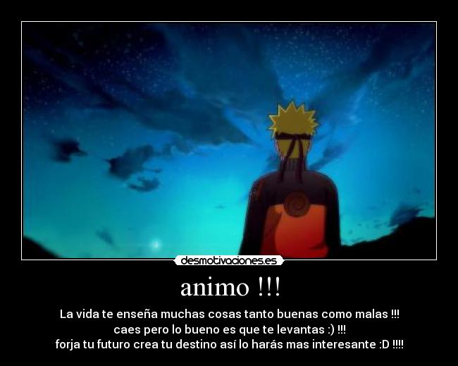 animo !!! - 