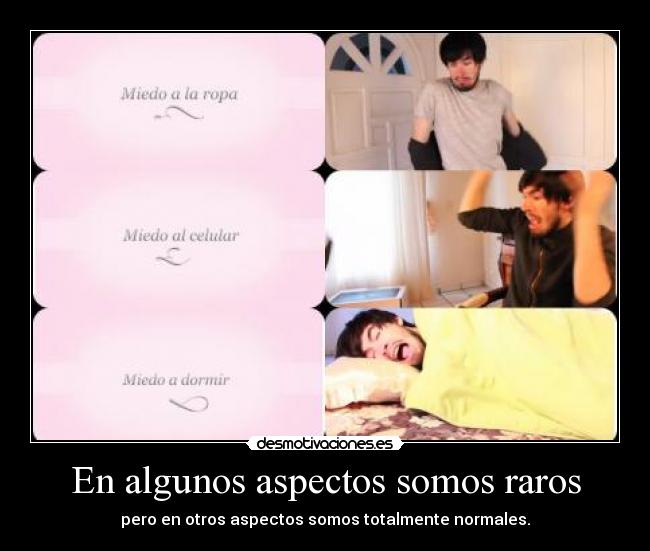 En algunos aspectos somos raros - pero en otros aspectos somos totalmente normales.