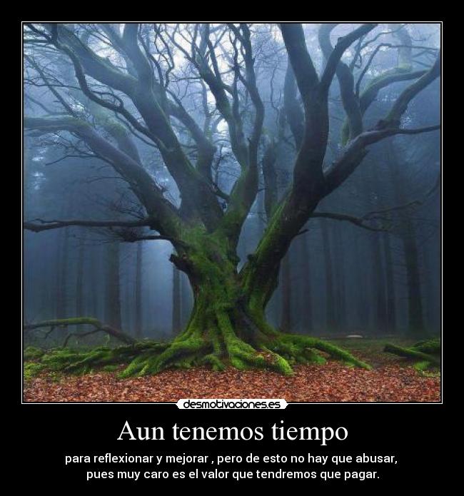 Aun tenemos tiempo - para reflexionar y mejorar , pero de esto no hay que abusar,
pues muy caro es el valor que tendremos que pagar.