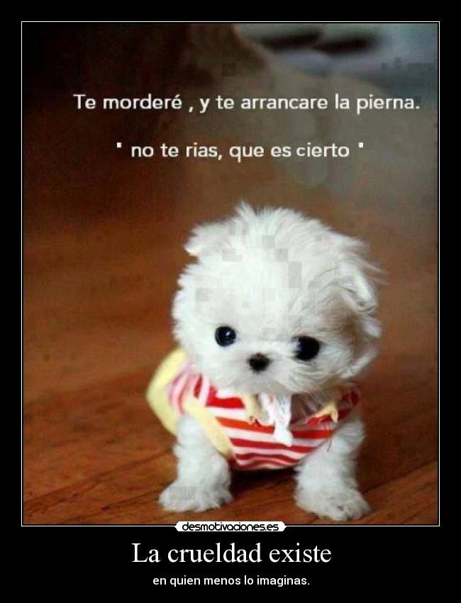 La crueldad existe - en quien menos lo imaginas.