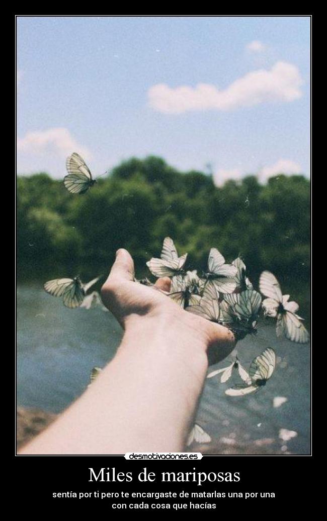 Miles de mariposas -