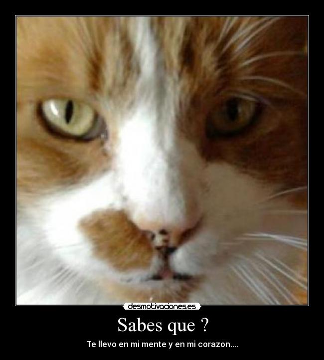 carteles am000000000r desmotivaciones