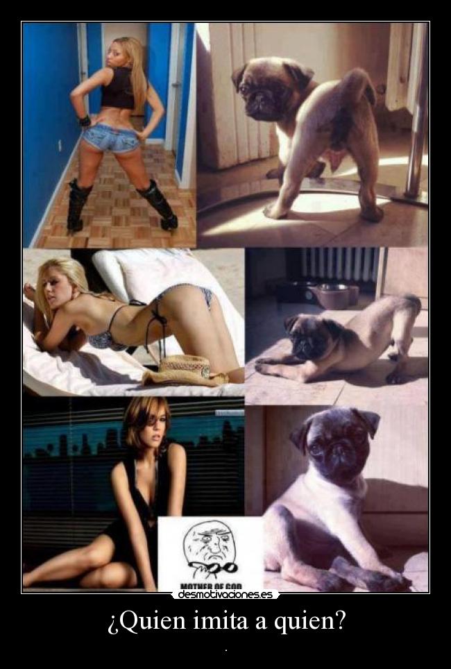 ¿Quien imita a quien? -