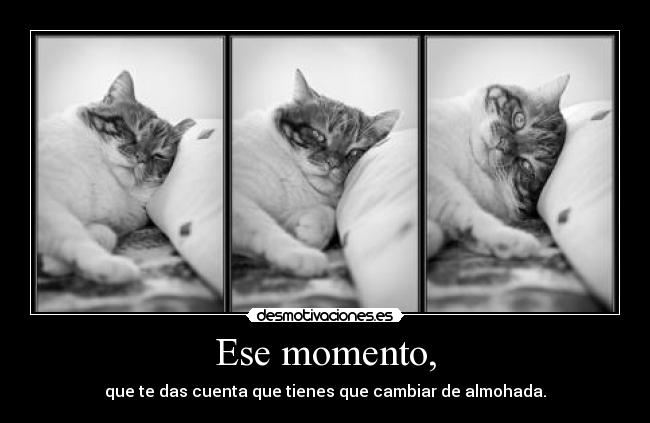 Ese momento, - que te das cuenta que tienes que cambiar de almohada.