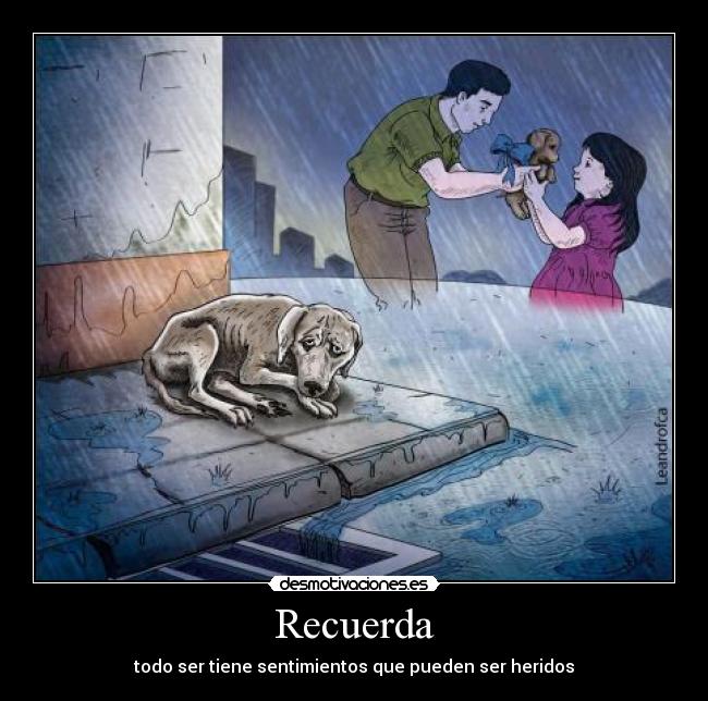 Recuerda - todo ser tiene sentimientos que pueden ser heridos