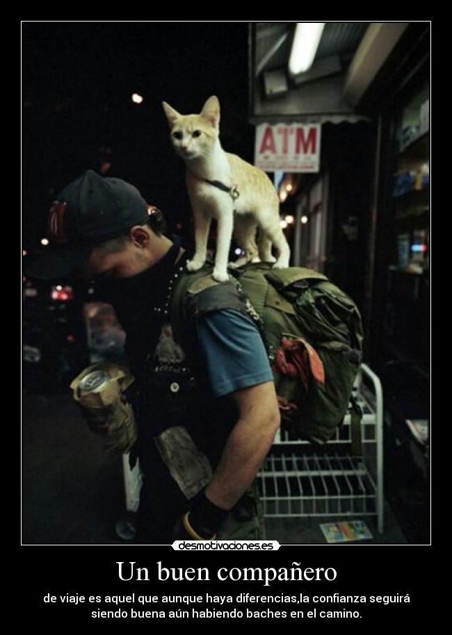 Un buen compañero -