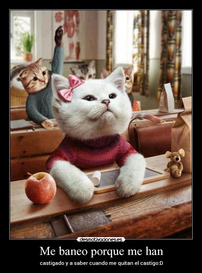Me baneo porque me han - 