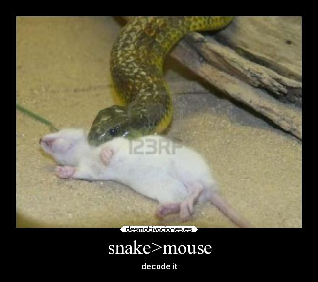 snake>mouse - decode it