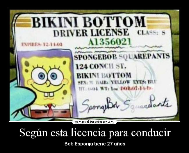 Según esta licencia para conducir - Bob Esponja tiene 27 años