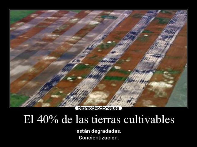 El 40% de las tierras cultivables - 