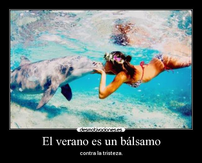 carteles verano verano desmotivaciones